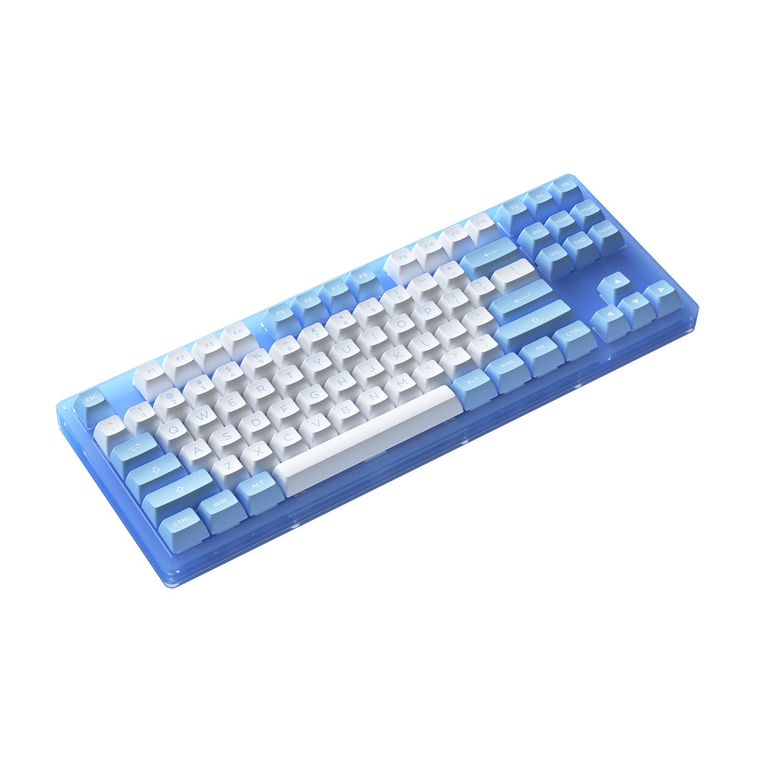 Bàn phím cơ AKKO ACR87 Blue (Hotswap / RGB / AKKO CS sw Jelly Blue)