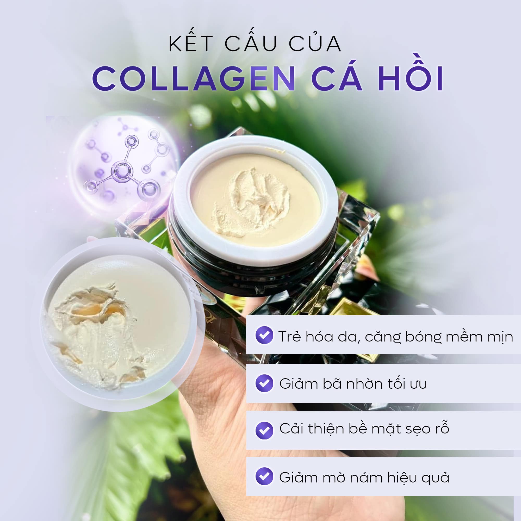 [Chính hãng] Kem Face Cá Hồi DNA Pro v2 Collagen MeeA Organic