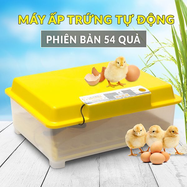 Máy ấp trứng Ánh Dương A100-54 trứng lắp ráp sẵn tự động đảo trứng