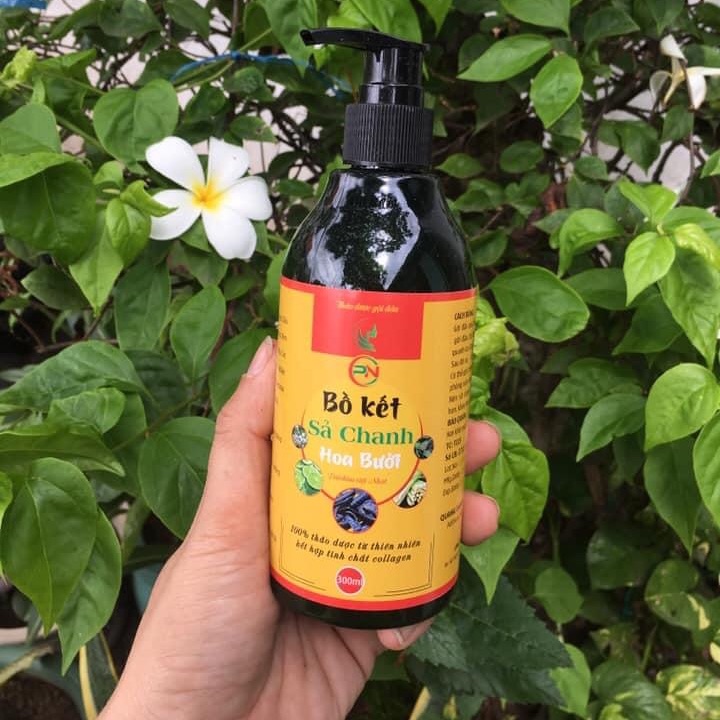 Dầu gội Bồ kết