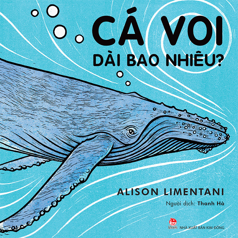 Kim Đồng - Cá voi dài bao nhiêu?