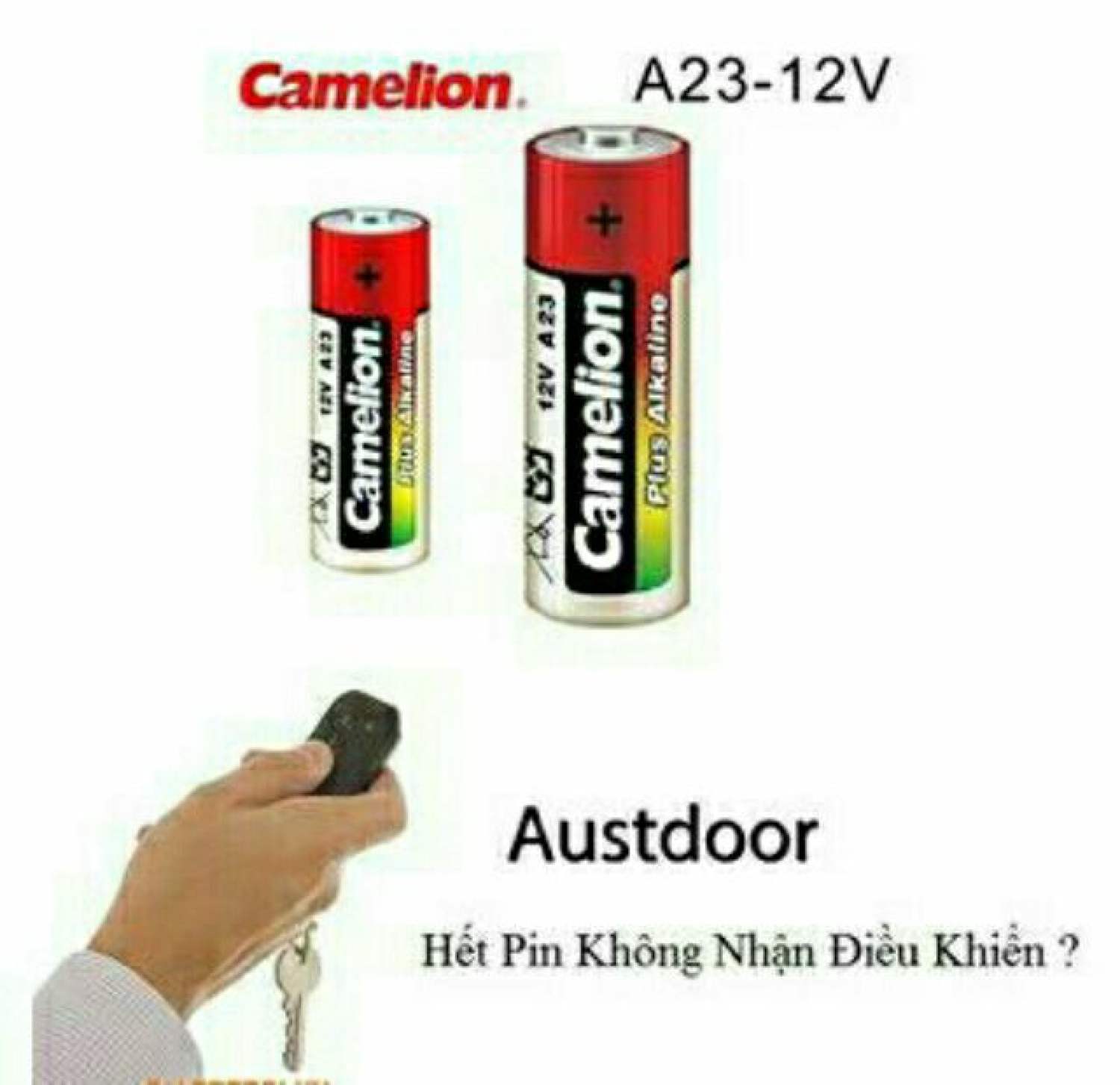Pin 12V A23 Camelion