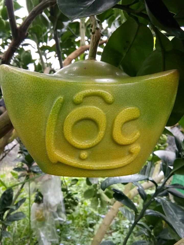 KHUÔN TẠO HÌNH CHO BƯỞI