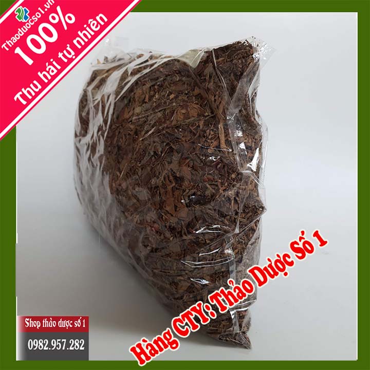 Cây dong riềng đỏ - 1KG Cao Cấp