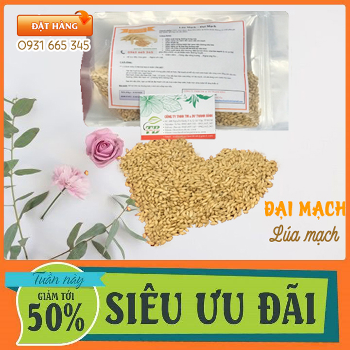 Lúa Mạch Đại Mạch 100g Khô Hàng Cty - Thảo Dược Thanh Bình