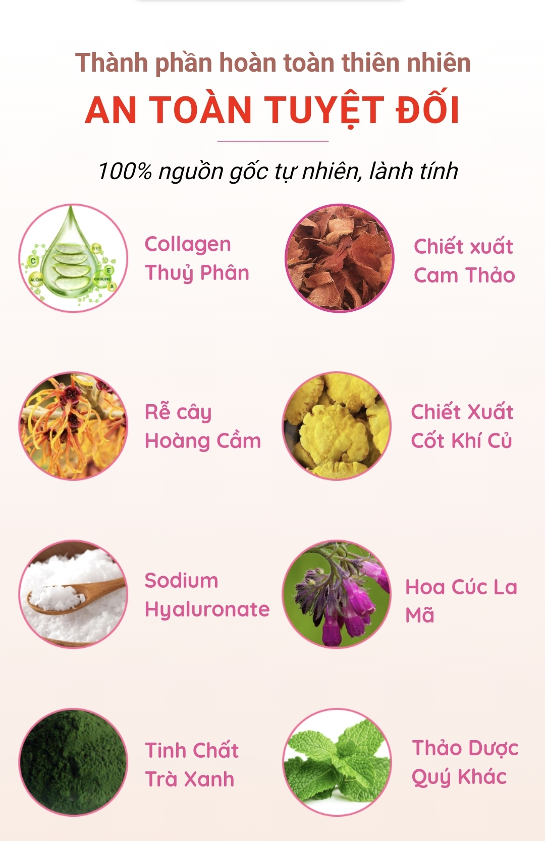 [Chính Hãng] phấn nước cc cushion rosy nhập khẩu hàn quốc
