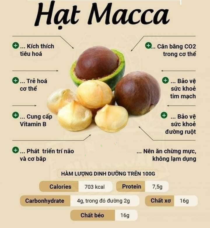 Quả Macca Đắk Lắk 500Gr