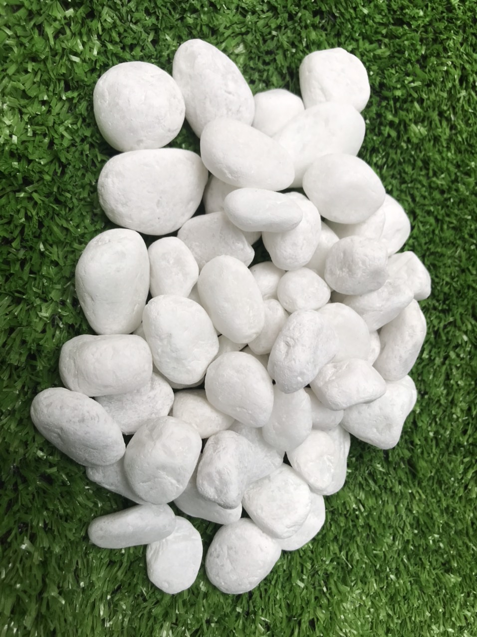 3kg sỏi trắng bể cá