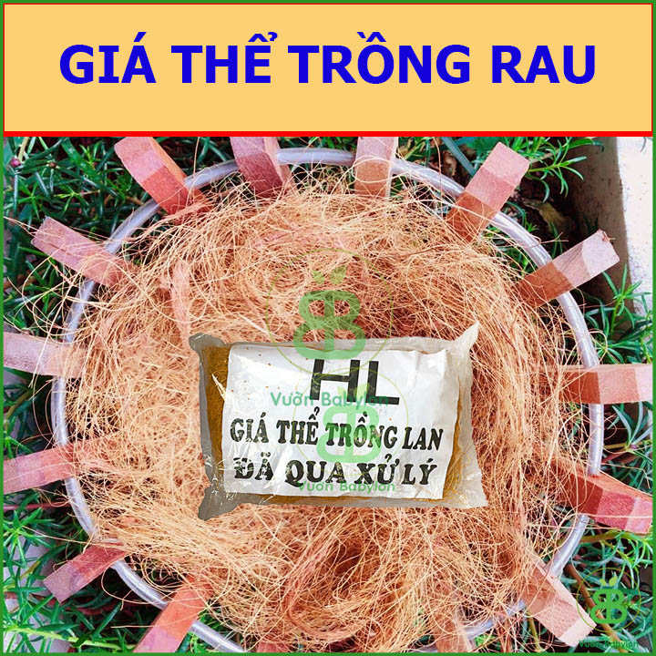 Xơ Dừa Sợi - Giá Thể Trồng Lan