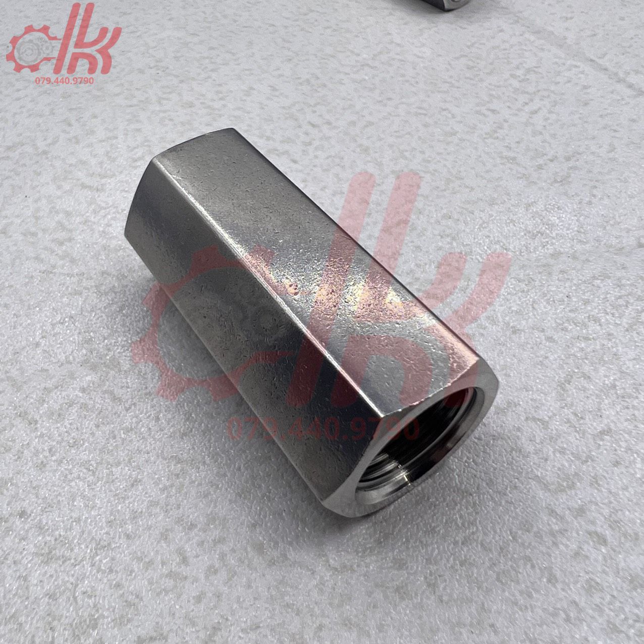 Van 1 chiều lò xo inox 304