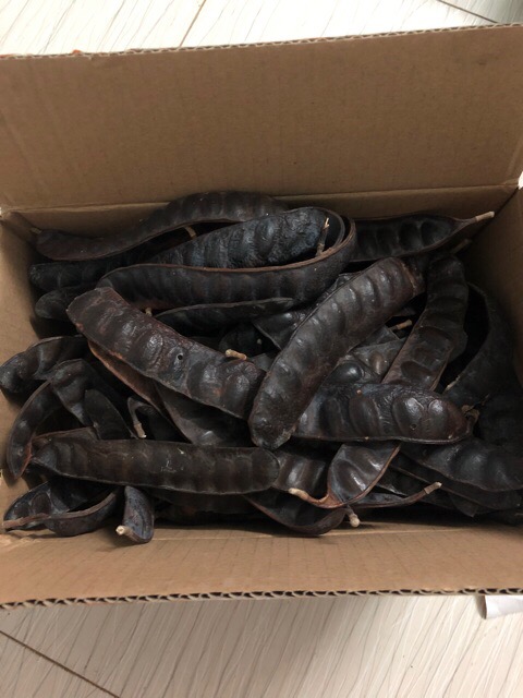 1kg Quả Bồ Kết Khô - quả To Mẩy