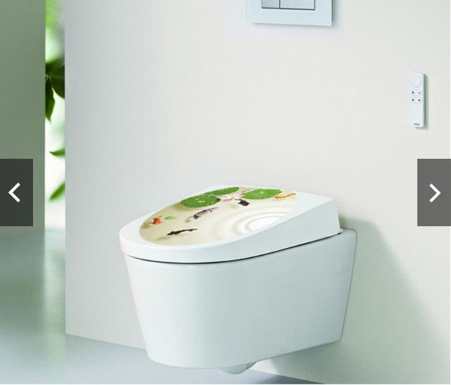 Decal trang trí Toilet - Cá Chép