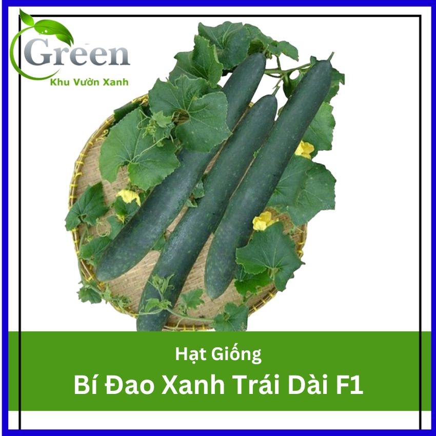 Hạt Giống Bí Đao Xanh Trái Dài F1 JAVA Tỉ Lệ Đậu Trái Cao, Sinh Trưởng Mạnh