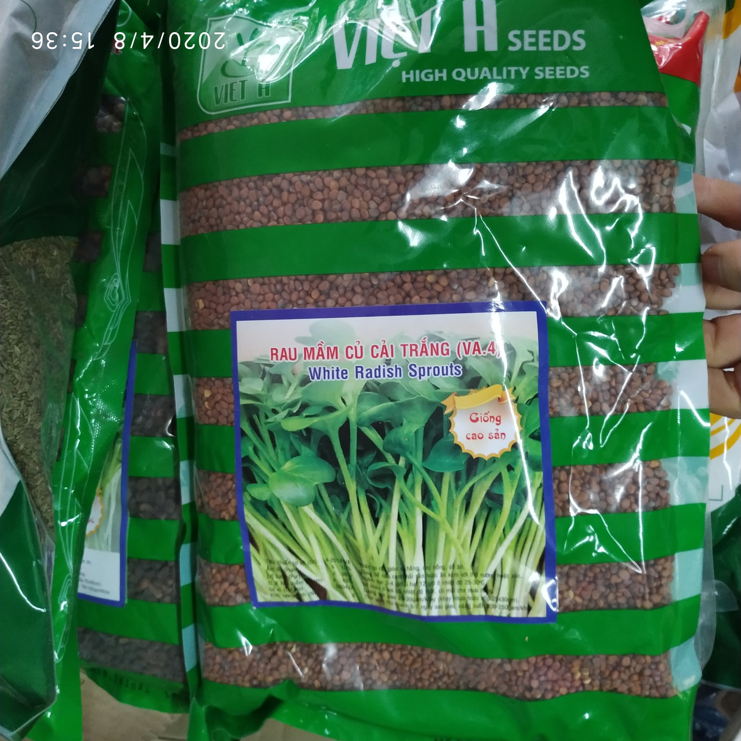 1kg hạt giống rau mầm củ cải trắng