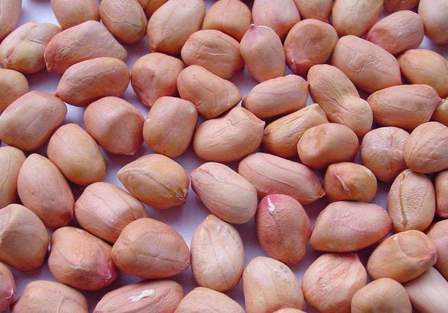 [HCM]Đậu phộng(lạc)_ sống 1kg