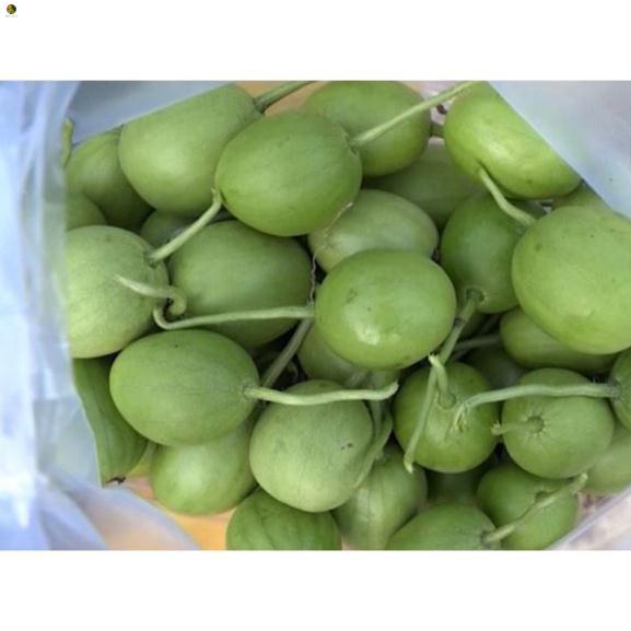 Hạt dưa hấu nụ, dưa canh - gói 5 gram