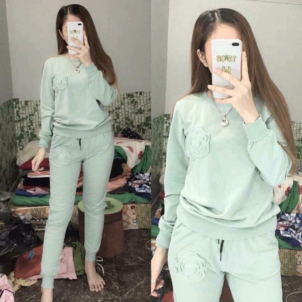 ( ẢNH THẬT) BỘ NỈ DA CÁ HOA TRÀ THỜI TRANG HÀN QUỐC, AMELIA