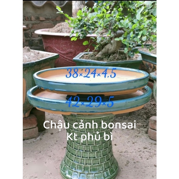 Khay thả đá non bộ bonsai