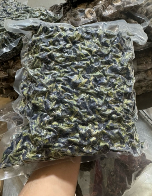 Hoa Đậu Biếc
