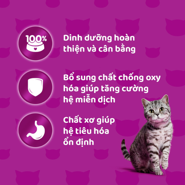 Hạt cho mèo Whiskas vị cá biển 3kg siêu hấp dẫn thú cưng
