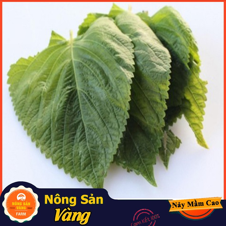 Korean ready-to-grow easy care herbal seed full-year growing food (0,5 gram pack)-shallow yellow