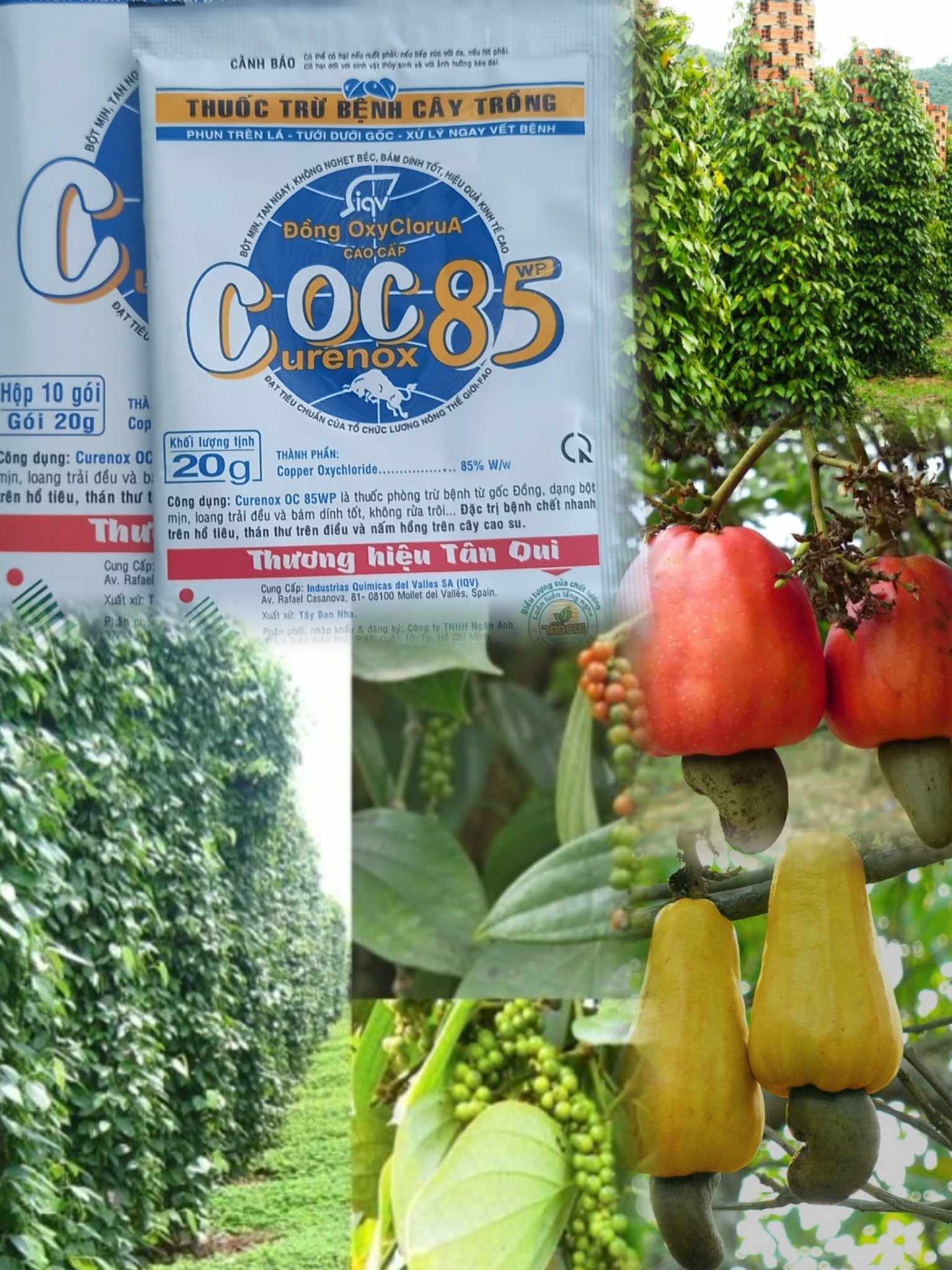 Thuốc Trừ Bệnh Cây Trồng COC 85 Gói 20gr
