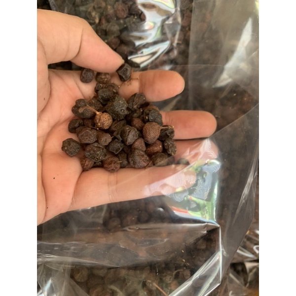 Hạt móc mật, quả mắc mật, móc (mắc) mật khô 500g,100g