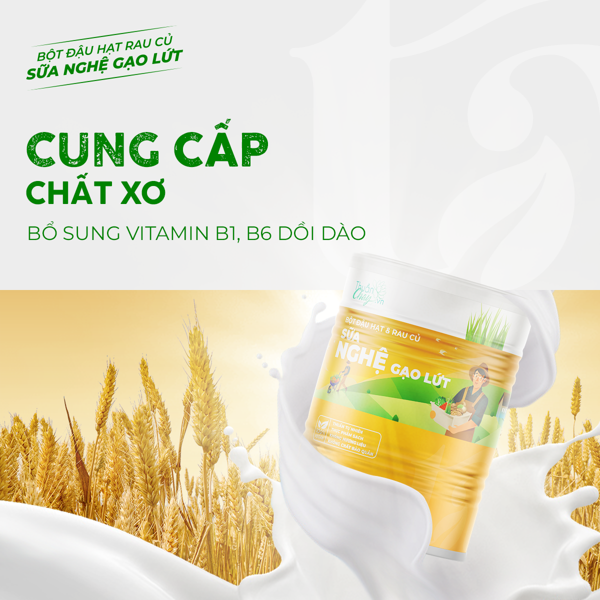 BỘT ĐẬU HẠT RAU CỦ NGHỆ GẠO LỨT - 420g
