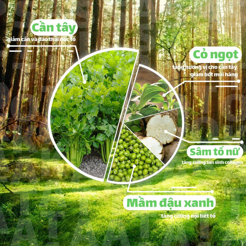 Bột Cần Tây Giảm Cân SITOKATA ( Ưu đãi từ combo 3 hộp )