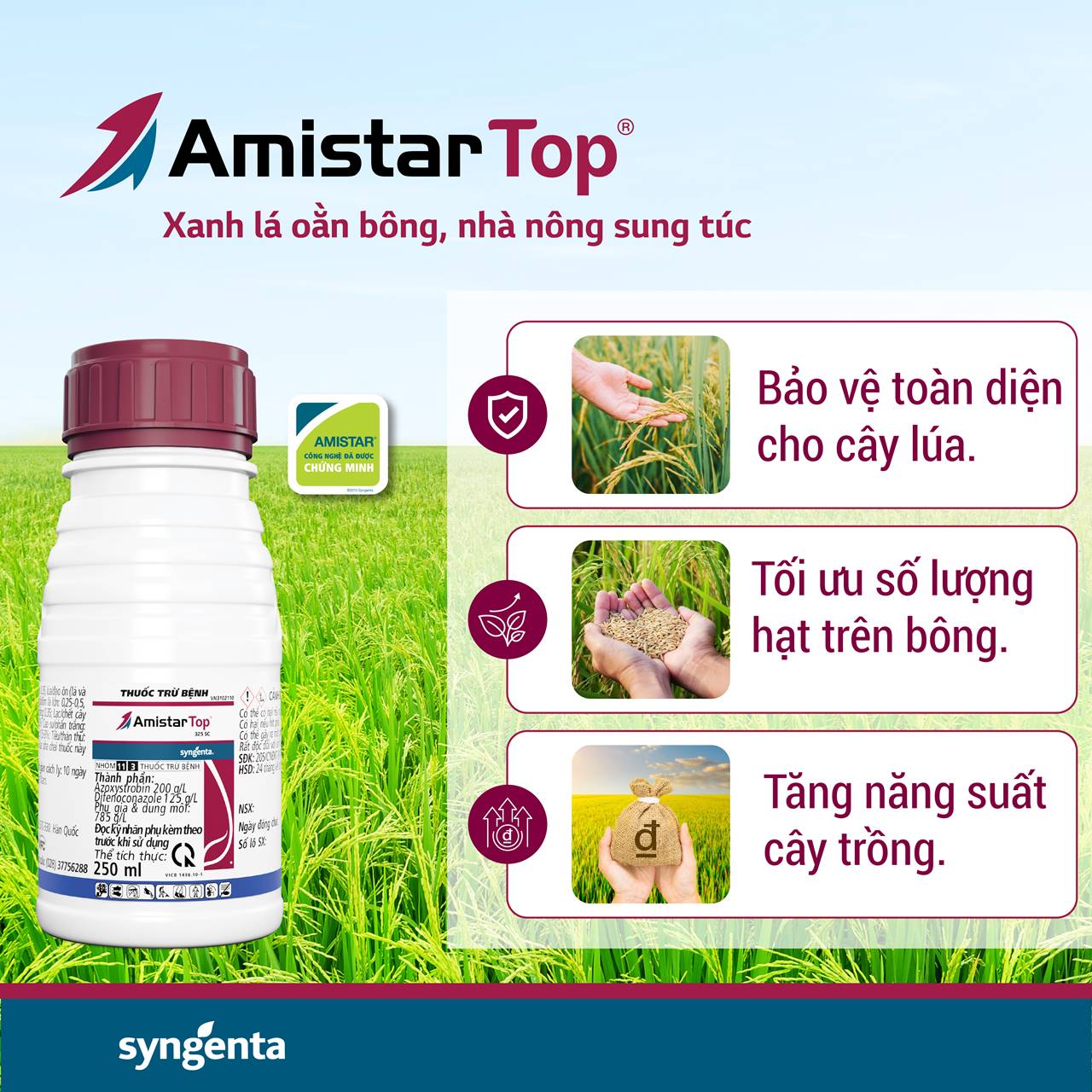 Thuốc trừ bệnh Amistar Top 325SC - Chai 250ml