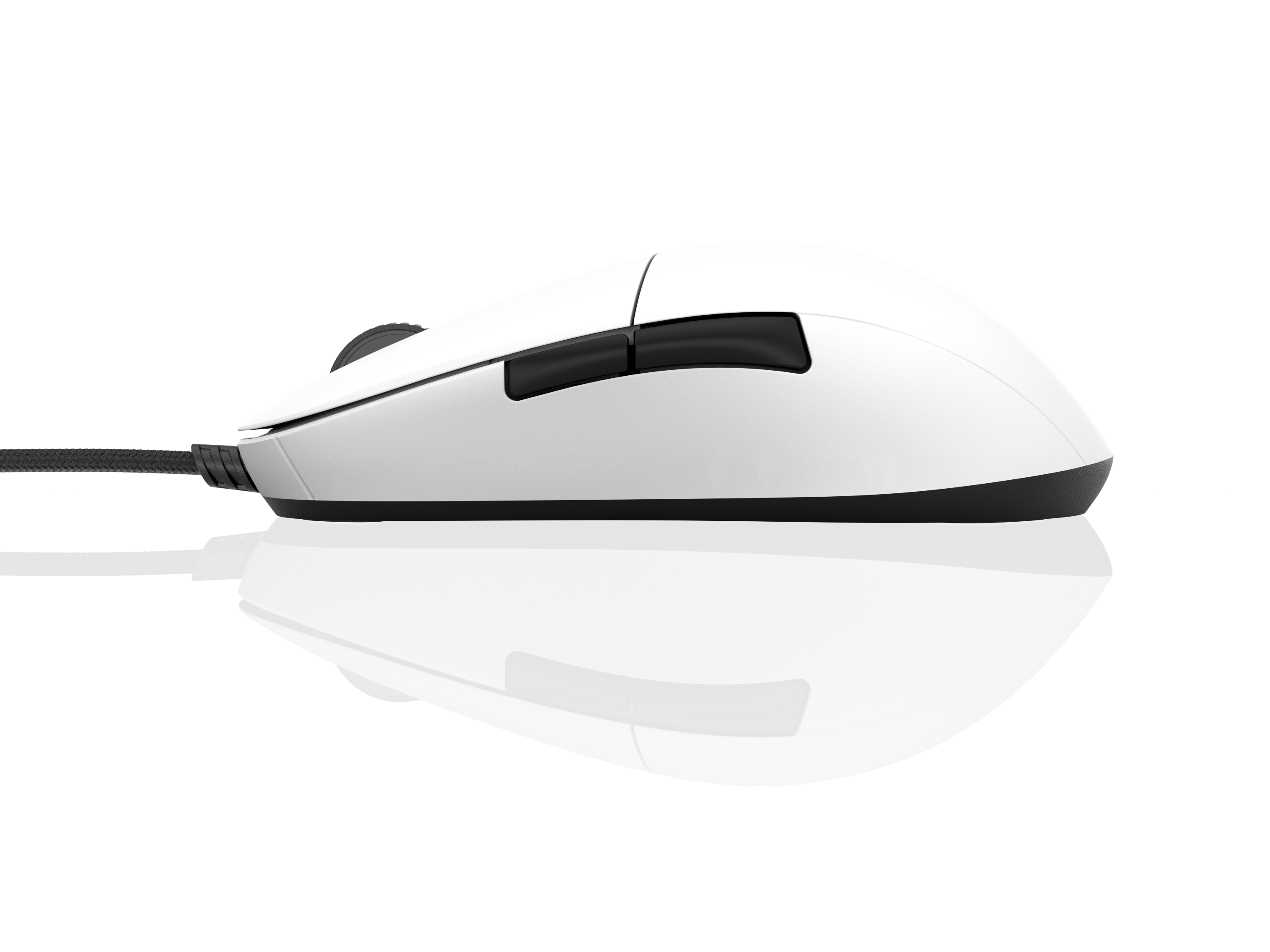 Gaming Mouse EndGame Gear XM1r