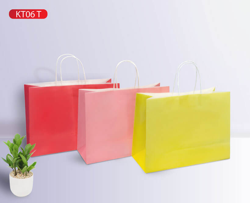 Combo 10 Túi Giấy KT06T - nhiều màu (KT: 26 x 36 x 13)