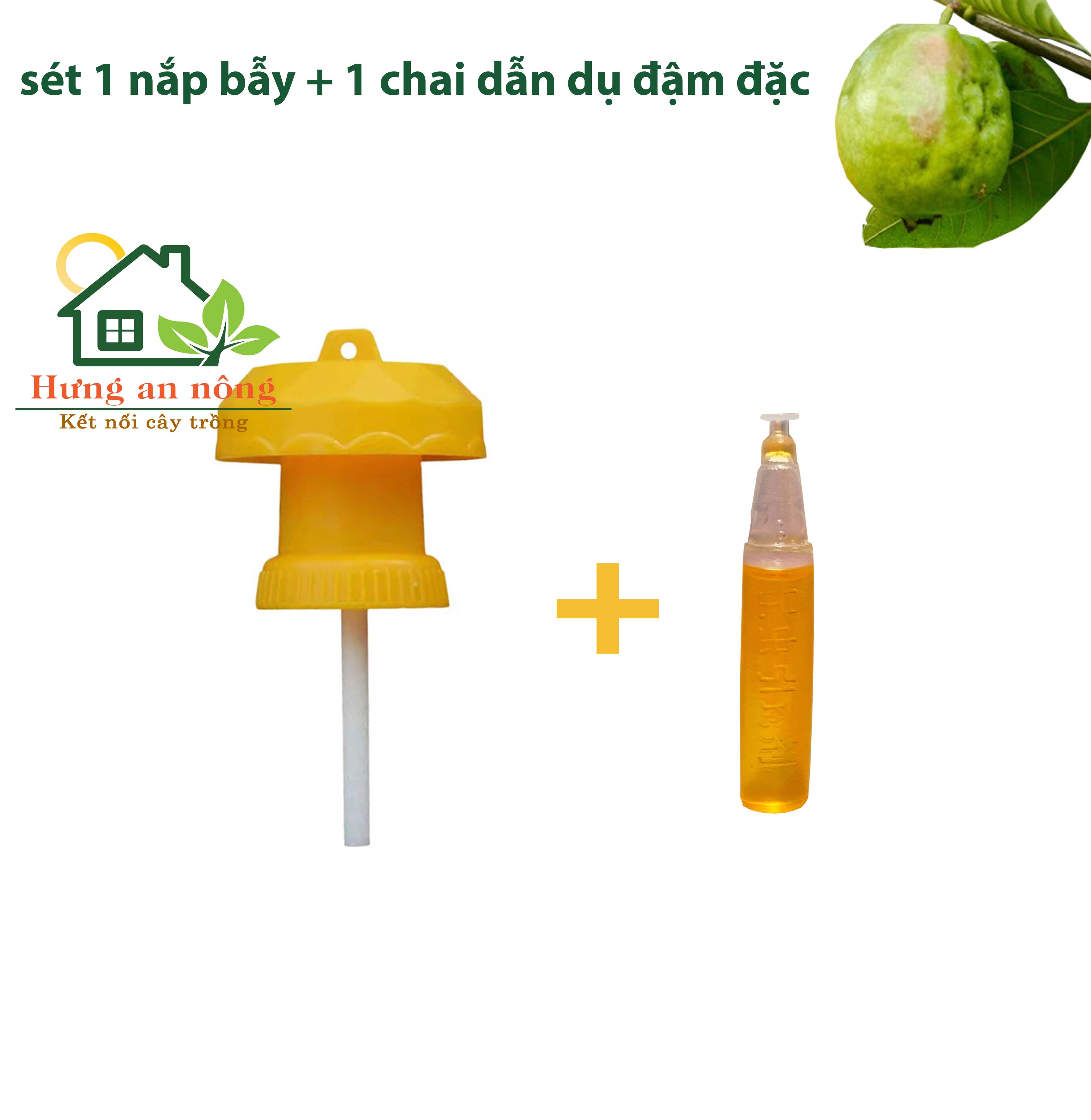 Dụng cụ bẫy ruồi vàng đục bông trái thế hệ mới linh hoạt tiết kiệm, có bán lẻ