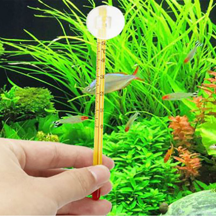 Nhiệt Kế Hồ Cá – Đo Nhiệt Độ Nước Hồ Cá