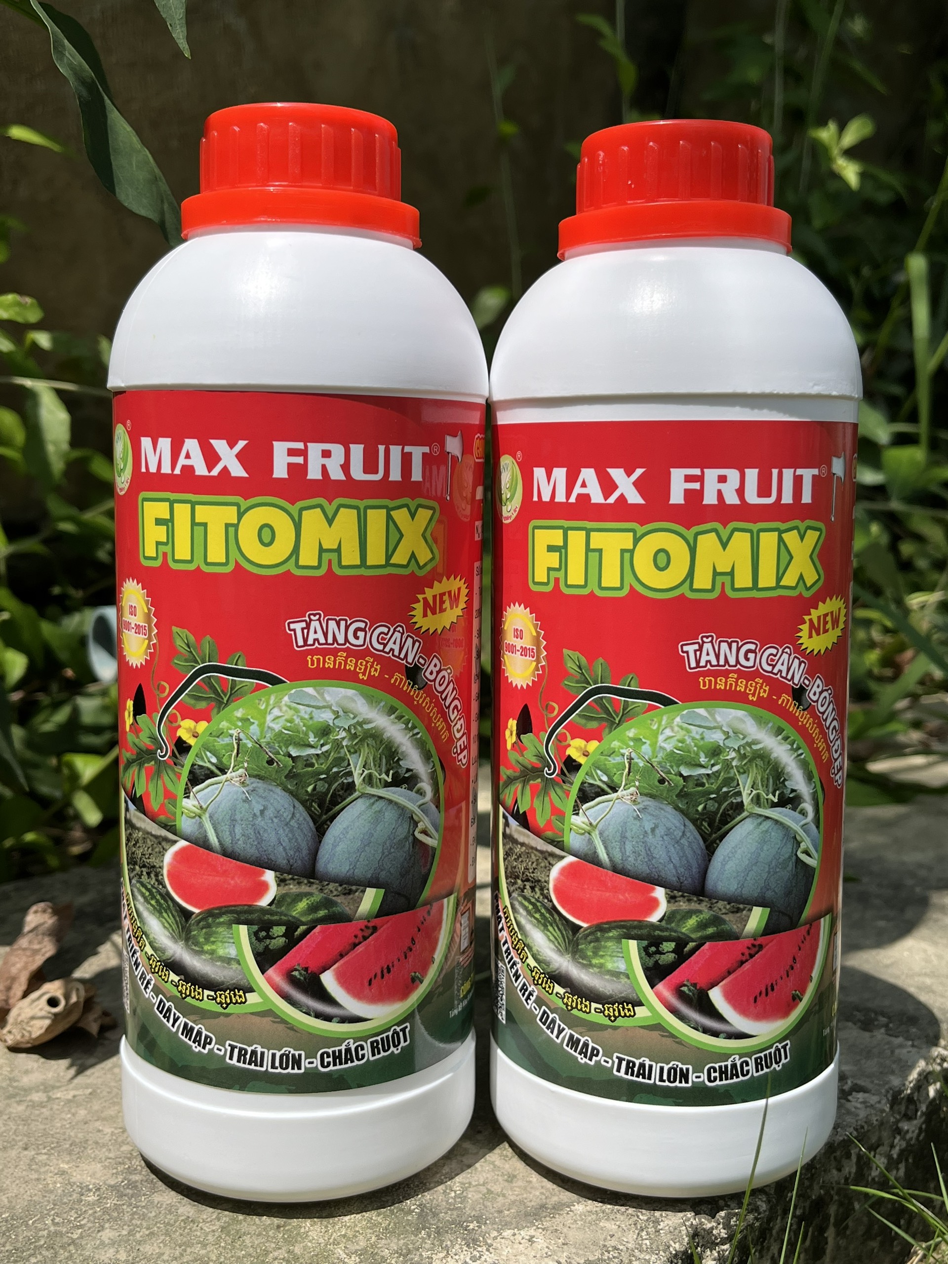 Max fruit fitomix chai 1 lít