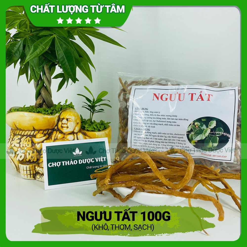 100g Ngưu Tất Nam (Khô, Thơm, Sạch)