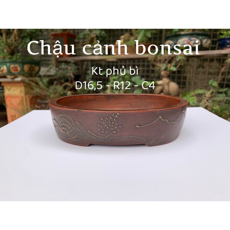 Chậu gốm tàu - chậu tử xa- Chậu trồng cây bonsai - chậu trồng sen đá - chậu cảnh bonsai