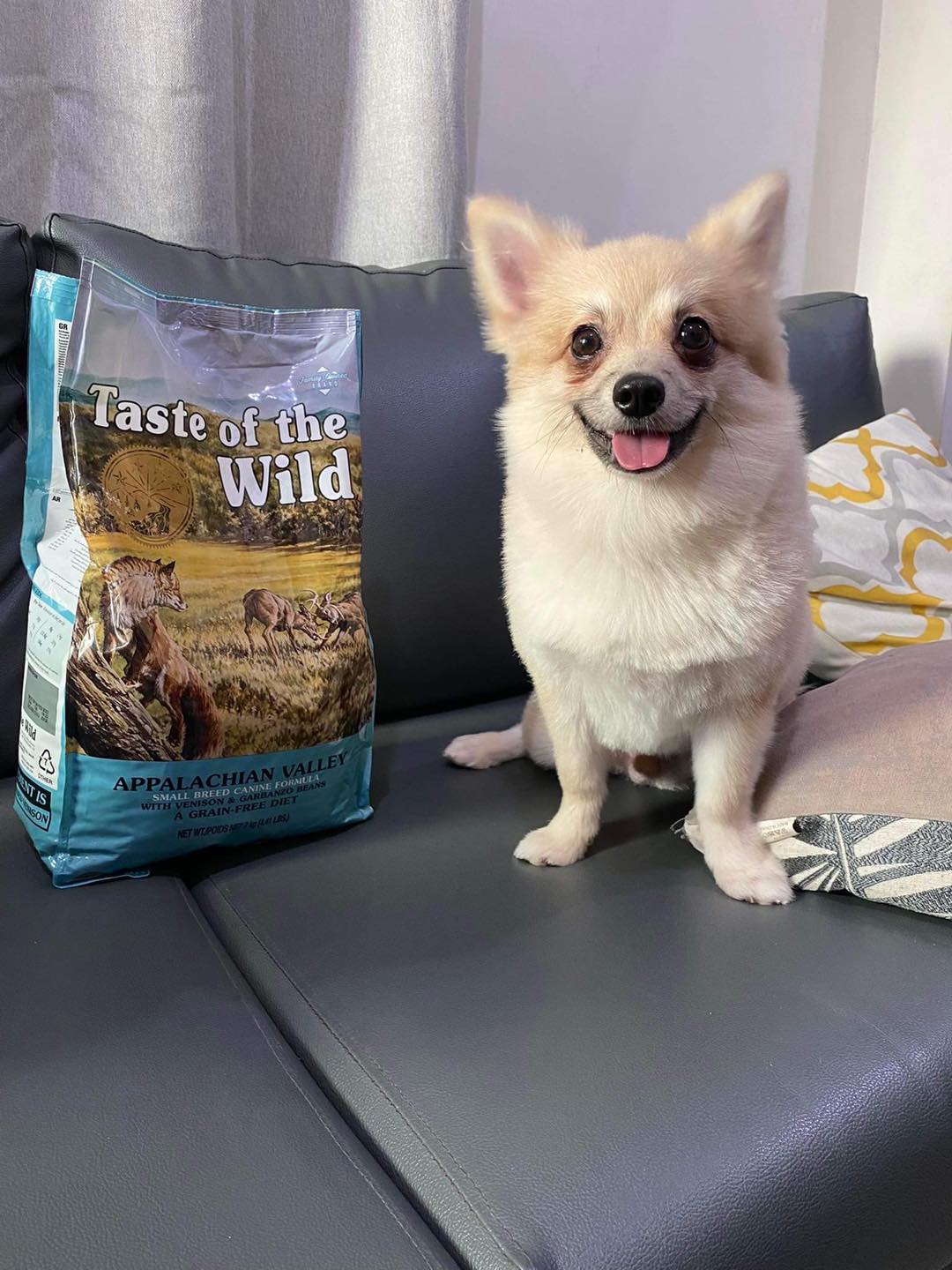 Hạt chó TASTE OF THE WILD (bao nguyên seal 2kg)