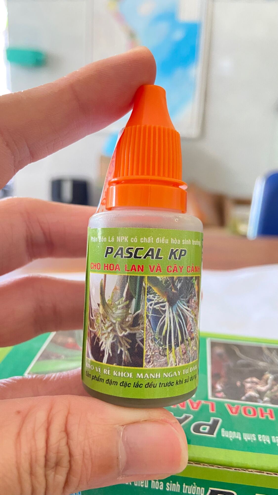 Kích thích ra rễ cho lan và cây cảnh PASCAL KP chai 20ml.