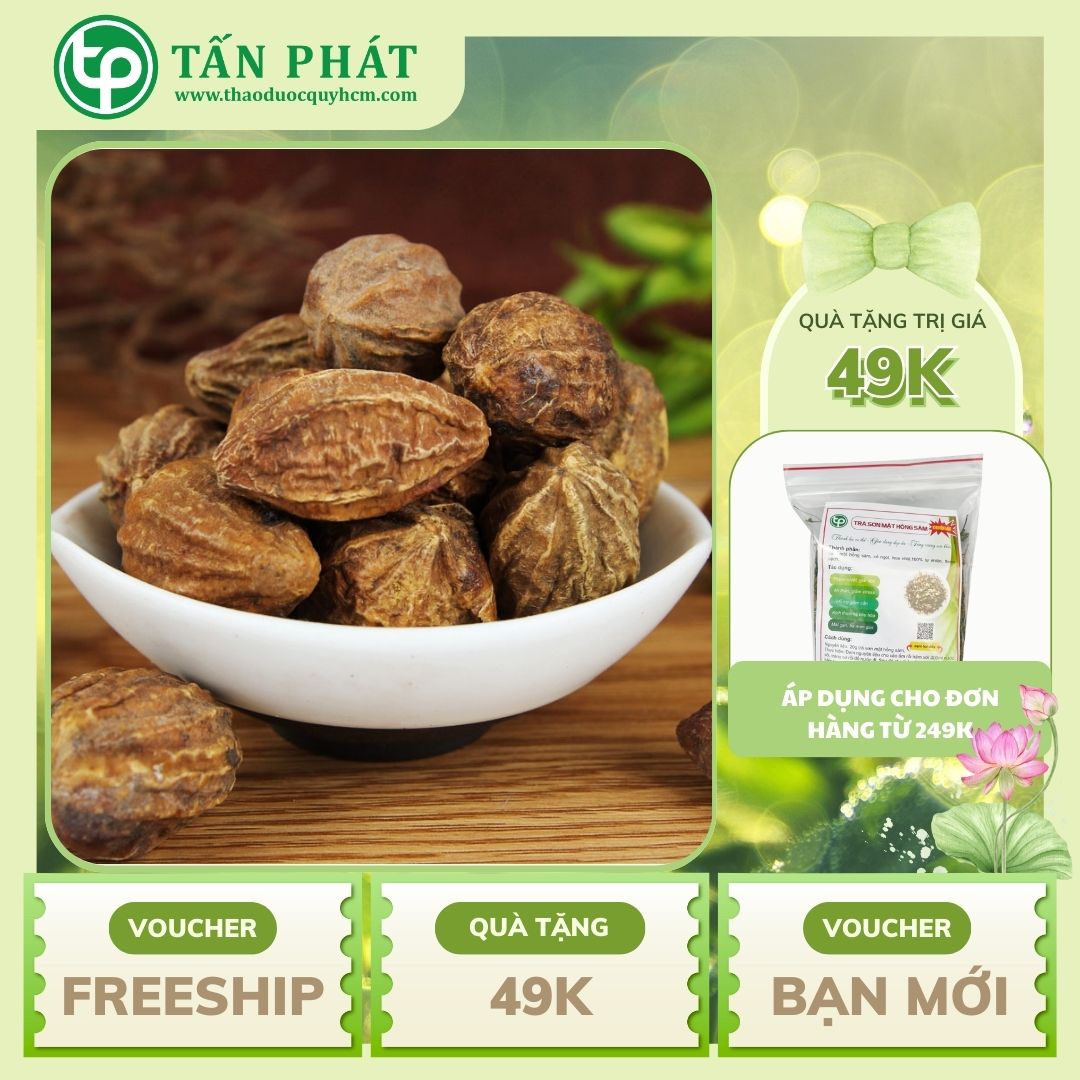 Quả kha tử khô 500g Tốt cho sức khỏe cổ họng của bạn - Hàng loại 1 chất lượng cao - Thảo Dược Tấn Phát