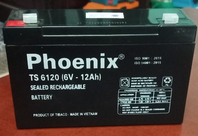 Ắc quy lưu điện Phoenix 6V - 12Ah TS6120
