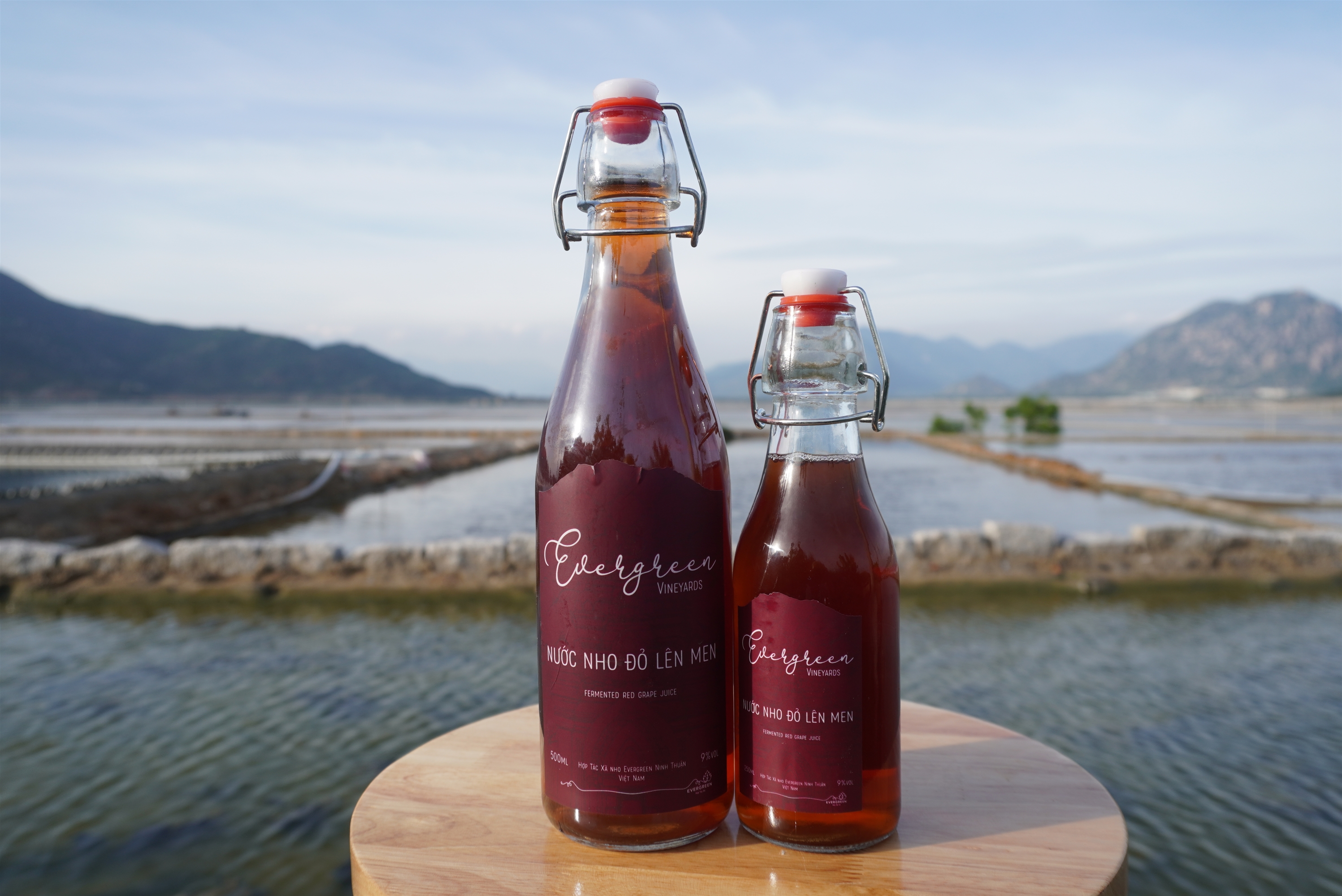 Nước nho đỏ lên men 500ml- HTX Evergreen