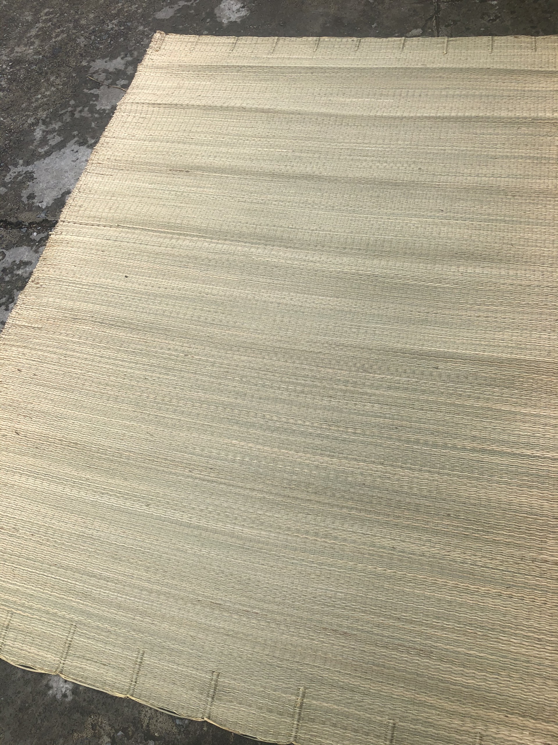 Chiếu Cói Trắng Siêu Rẻ Kích Thước 1m2 / 1m5 / 1m6