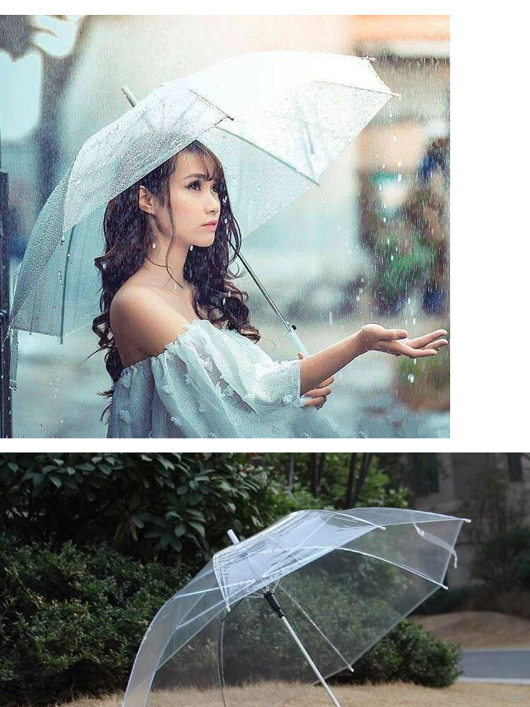 Ô Dù đi Mưa Trong Suốt Nhật Bản