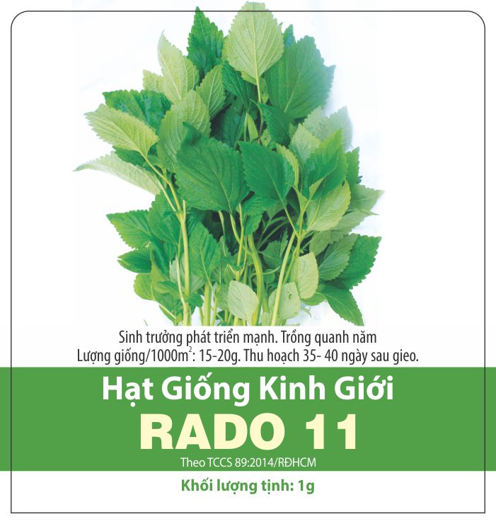 1 gram hạt giống rau kinh giới cao sản