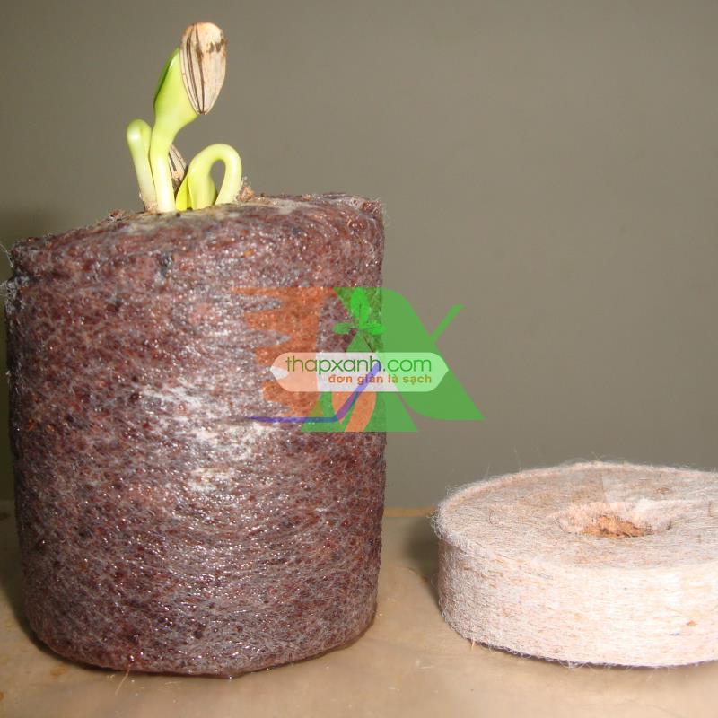 Box 200 tablets ươm beads, tablets Coir
