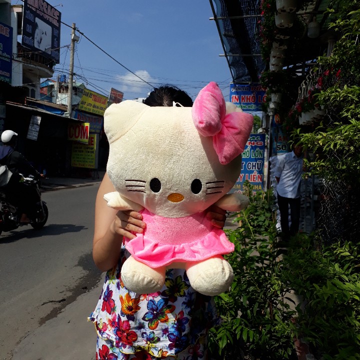 [HCM]MÈO KITTY NHỒI BÔNG 45CM