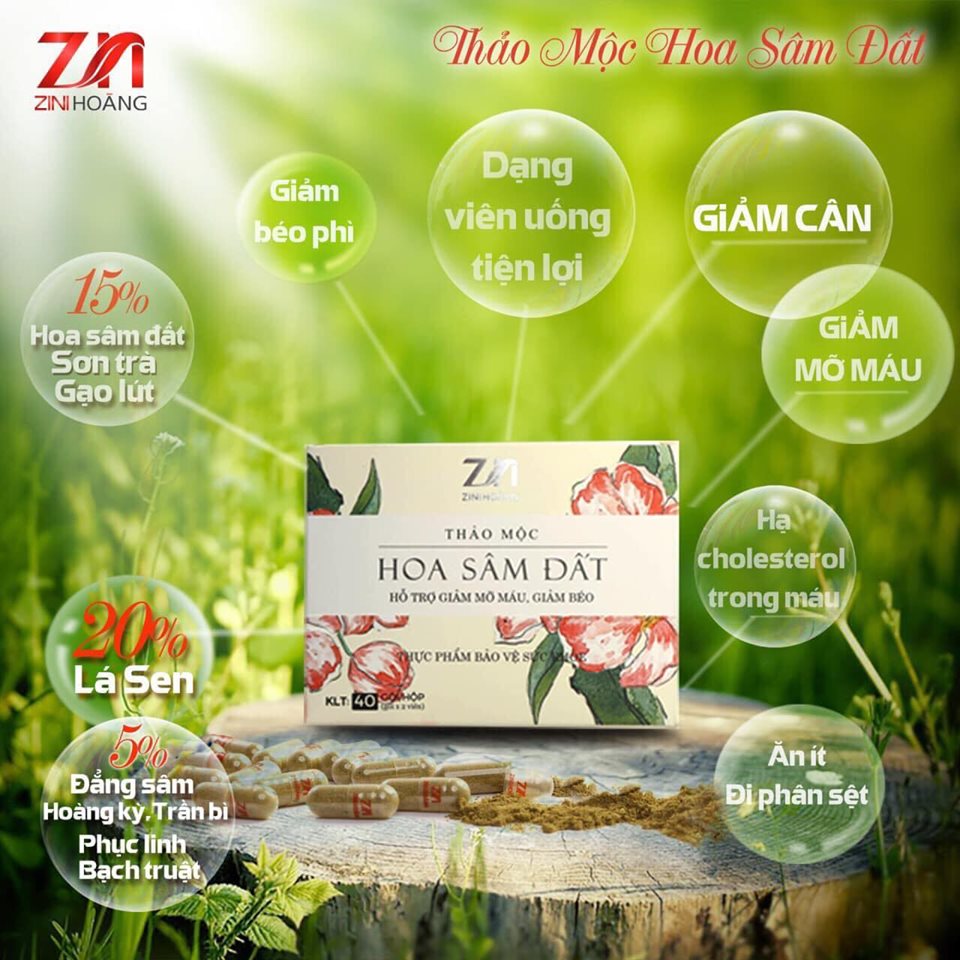 [HCM]Trà Hoa Sâm Đất (Giảm Cân Loại Bỏ Mỡ Máu)- liệu trình 1 hộp 20 ngày
