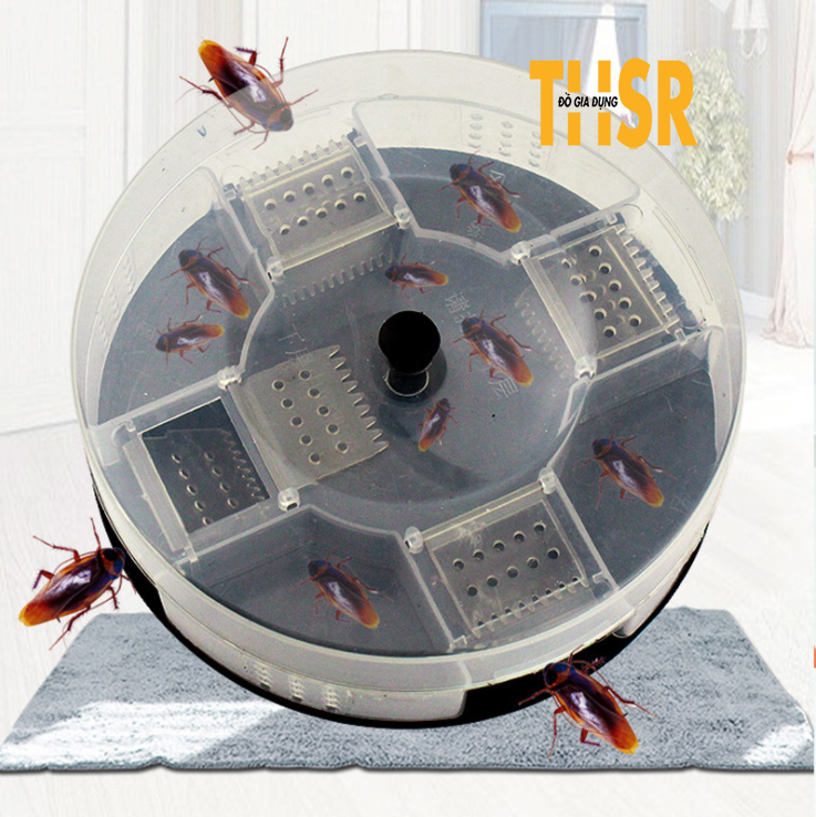 Bẫy Gián/Tiểu Cường Thông Minh