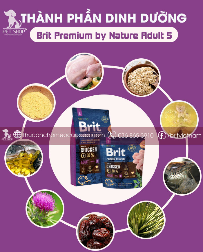 [BRIT VỊ GÀ TƯƠI 1KG - 3KG] Thức Ăn Cho Chó Corgi Trưởng Thành